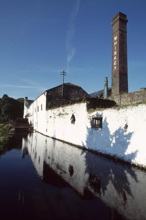 Fort House Bed & Breakfast Kilbeggan Exterior foto