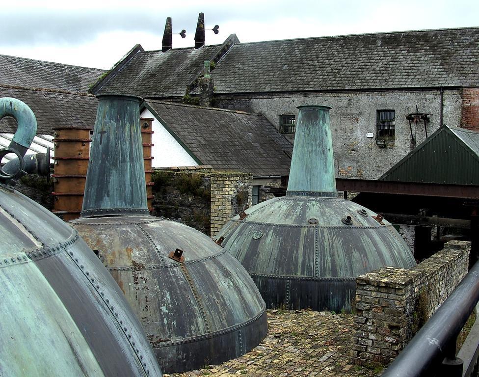 Fort House Bed & Breakfast Kilbeggan Exterior foto