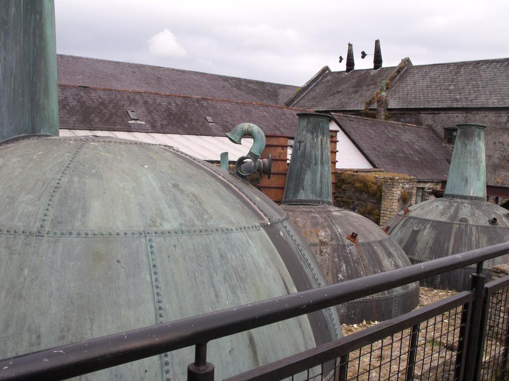 Fort House Bed & Breakfast Kilbeggan Exterior foto